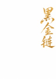 黑金链条包女式手提